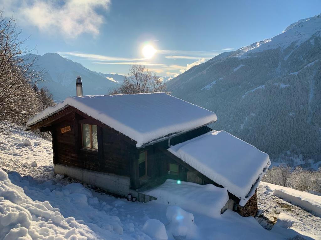 Straeba Vakantiehuis